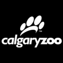 Calgary Zoo "Stampede Stomp Out Plastic" Team's avatar
