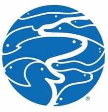 Tennessee Aquarium's avatar